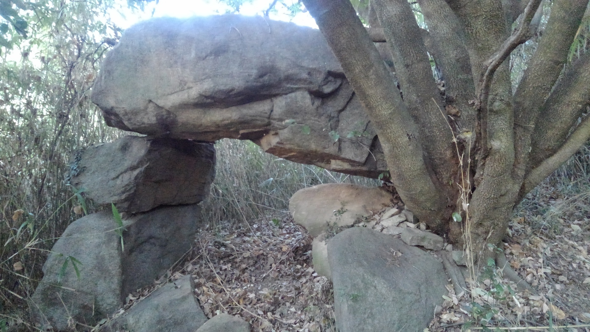 ドルメン古墳（大窪・山畑36号墳）